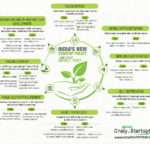 7 Habits of Highly Effective Consultants India Startup Policy 2016 Crazy About Startups